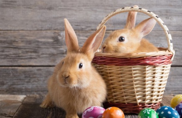 Během Velikonočních prázdnin se tréninky nekonají.