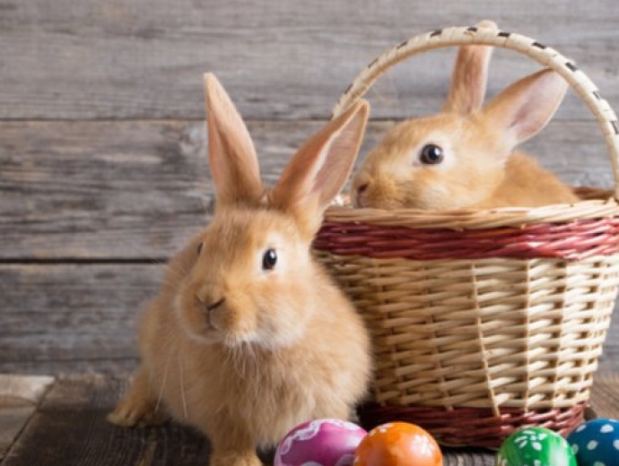 Během Velikonočních prázdnin se tréninky nekonají.