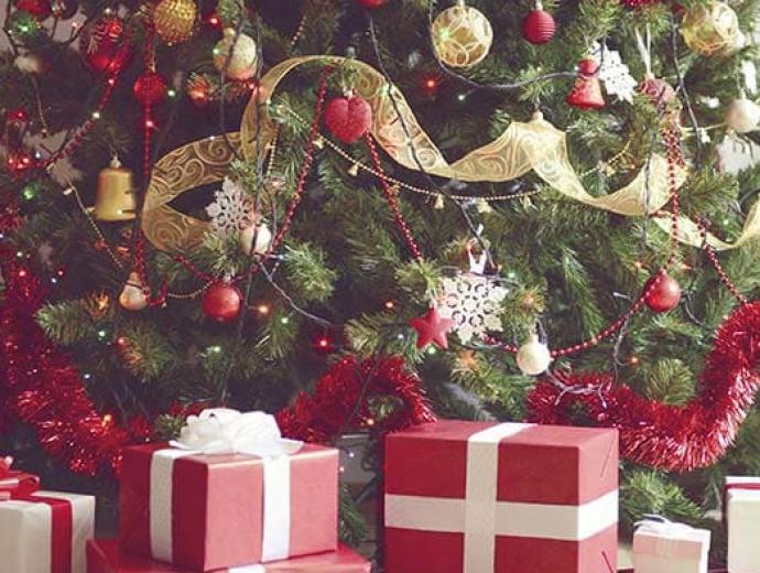 Šťastné a Veselé Vánoce přeje AO TJ Lokomotiva Břeclav.